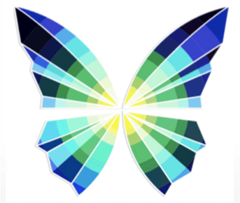 WE-PAPILLON-STAR-CROQUIS3.png